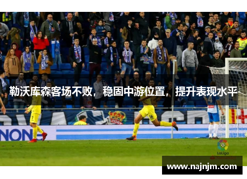勒沃库森客场不败，稳固中游位置，提升表现水平
